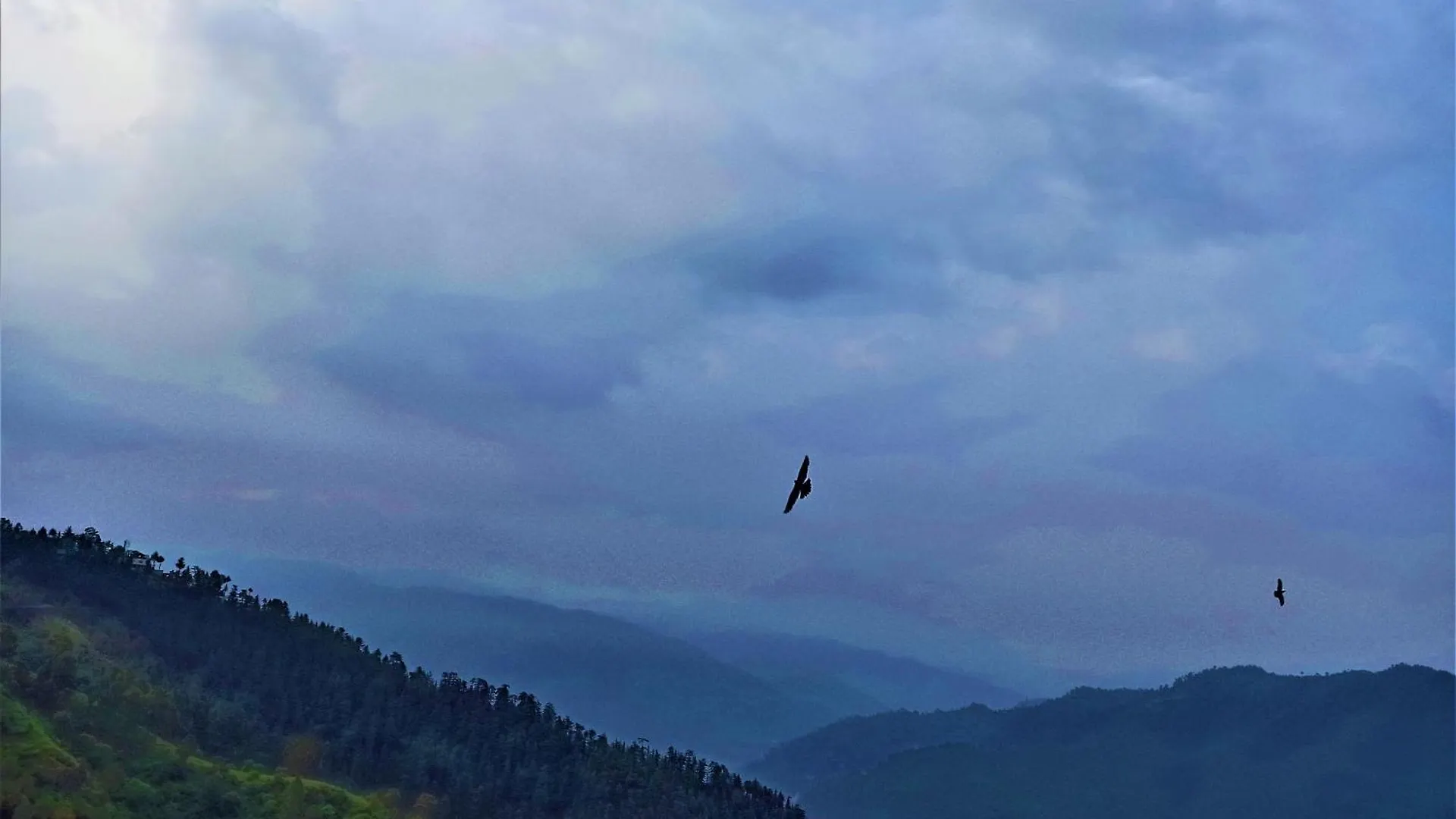 Mountain And Peace Lägenhet Shimla Indien