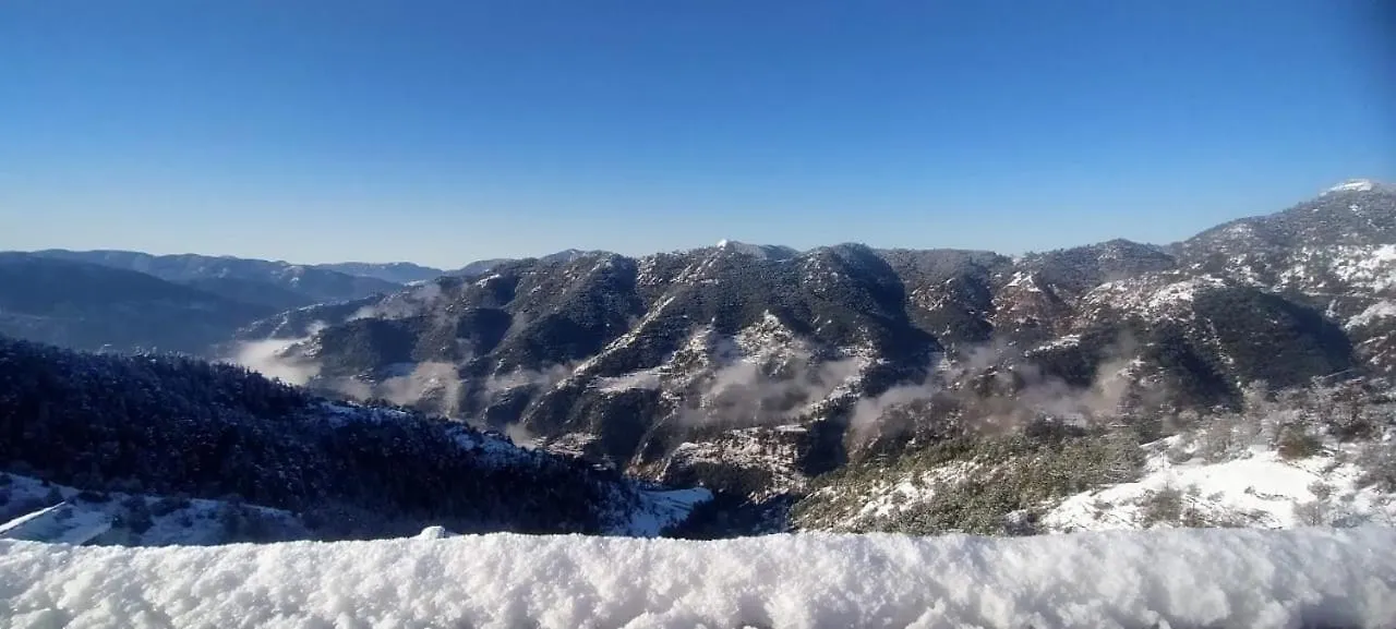 Mountain And Peace Apartment Shimla Homestay
